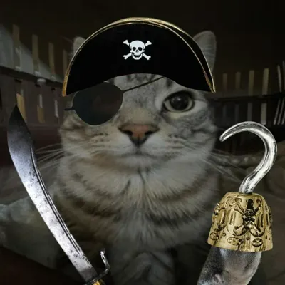 The 1st crewmate
